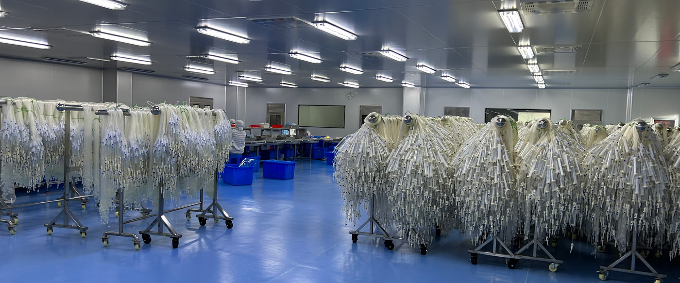 GMP Standard Purification Workshop