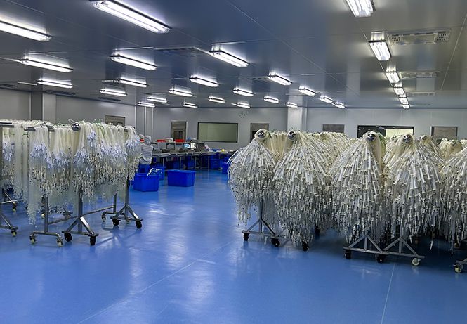 GMP Standard Purification Workshop